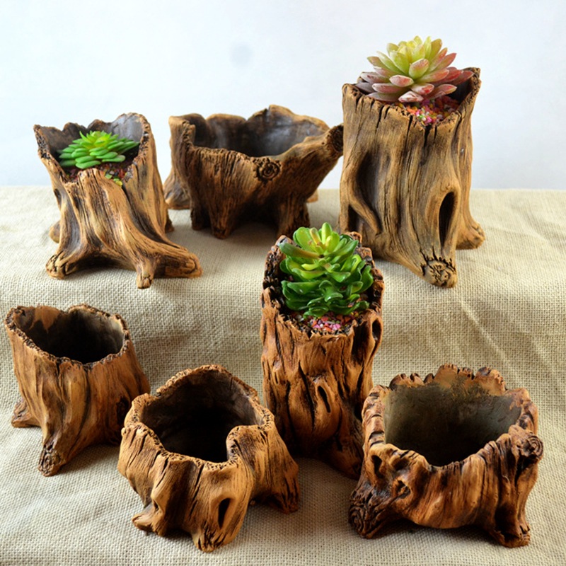 Echeveria Succulent - 모조 나무 말뚝 나무 뿌리 식물