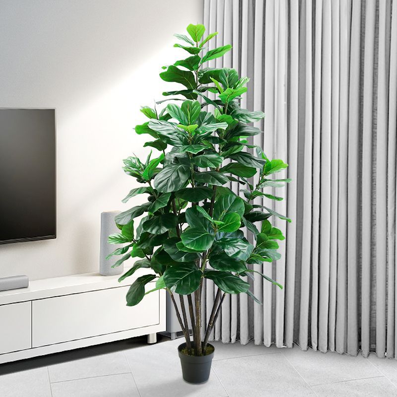 Ficus Lyrata Tree - 35-150cm 열대 나무 대형 인조 고무나무(피쿠스