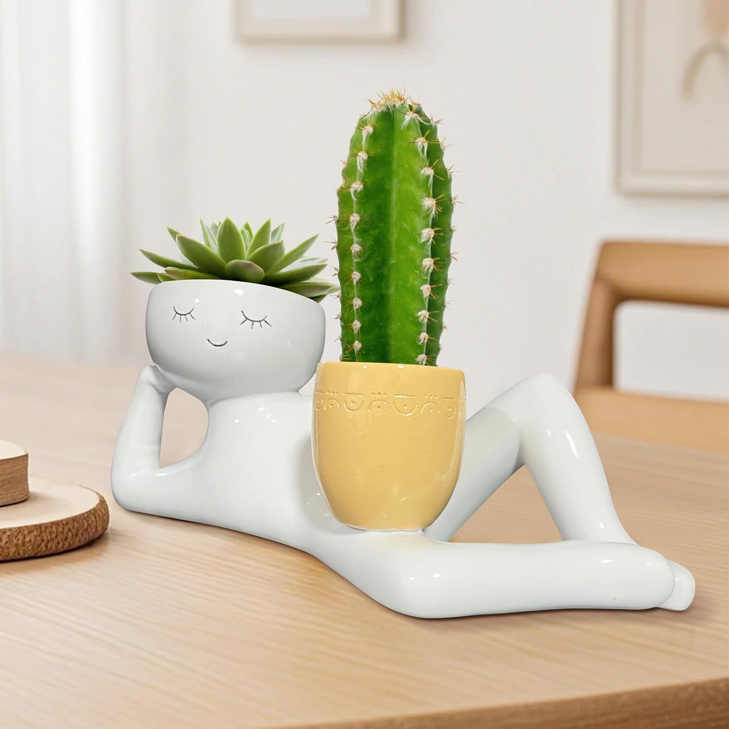 게으른 작은 남자 모양 화분, 독특한 화분, 재미있는  - Echeveria Succulent 리뷰 및 가격