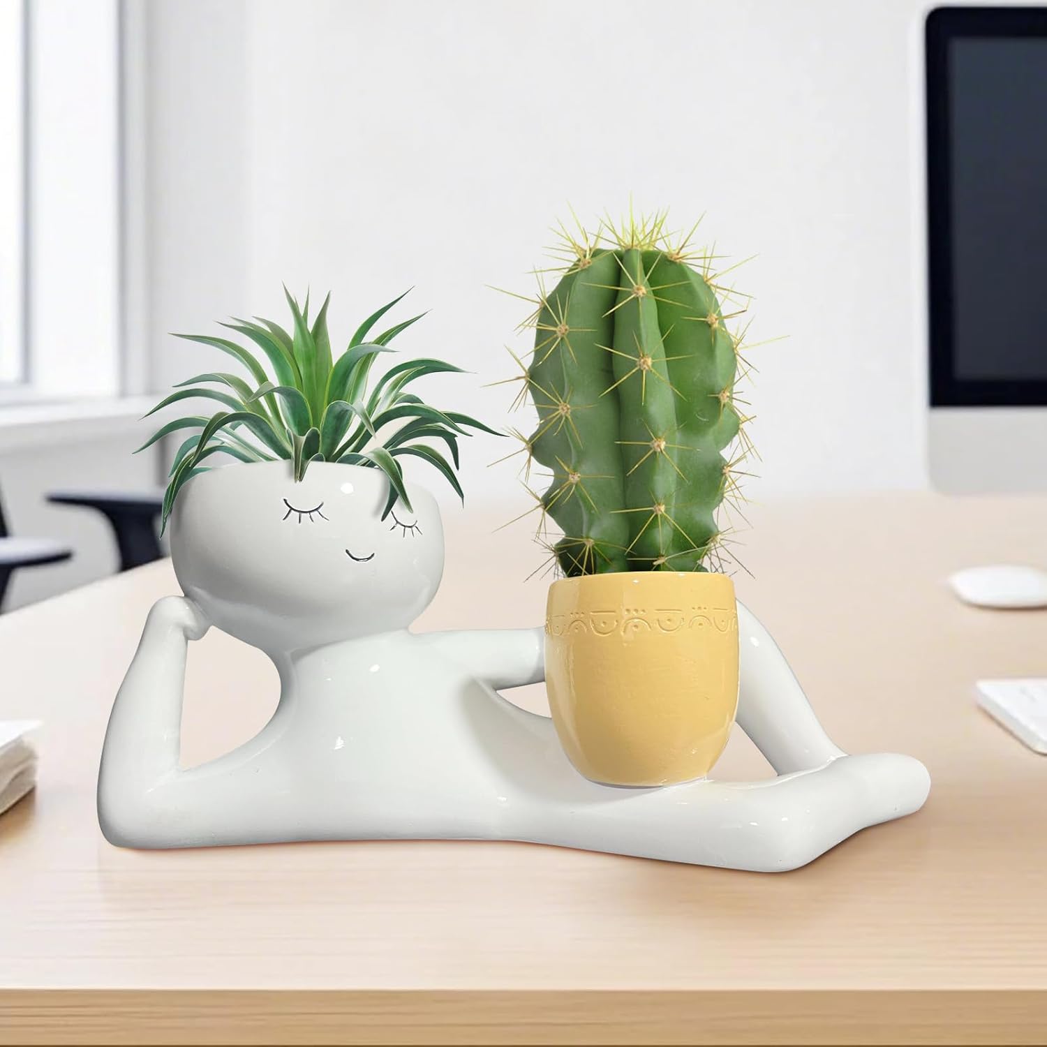 게으른 작은 남자 모양 화분, 독특한 화분, 재미있는  - Echeveria Succulent 리뷰 및 가격