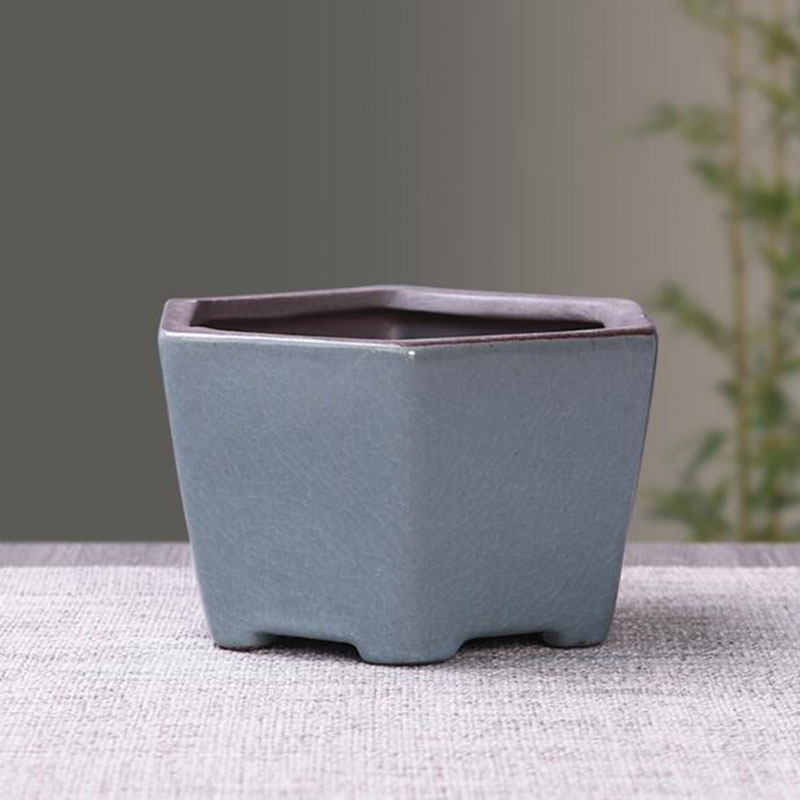 레트로 세라믹 꽃 냄비, 아스파라거스, 다육 식물 냄비 - Echeveria Succulent 리뷰 및 가격