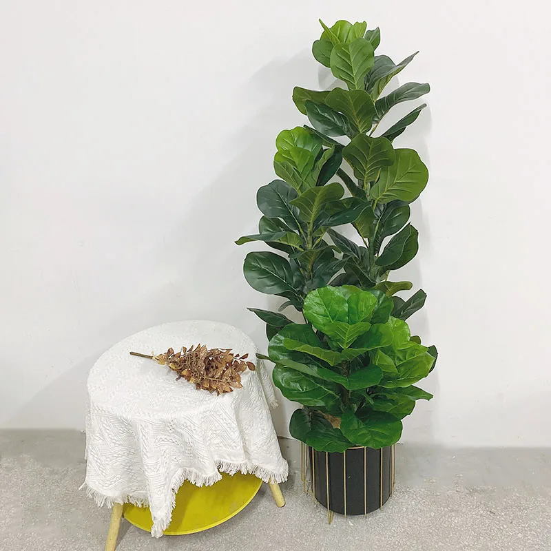 35-150cm 열대 나무 대형 인조 고무나무(피쿠스  - Ficus Lyrata Tree 리뷰 및 가격