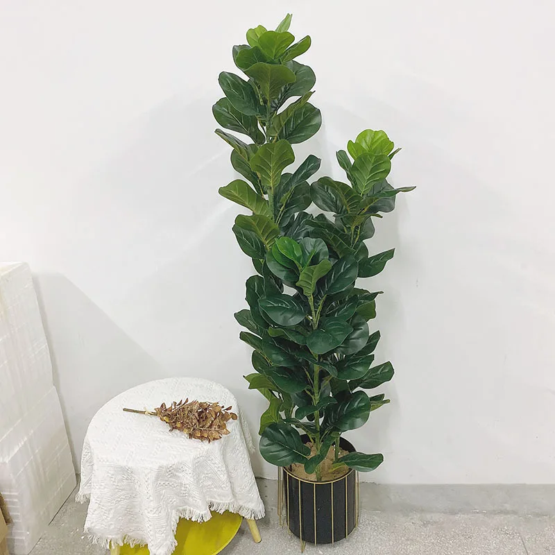 35-150cm 열대 나무 대형 인조 고무나무(피쿠스  - Ficus Lyrata Tree 리뷰 및 가격