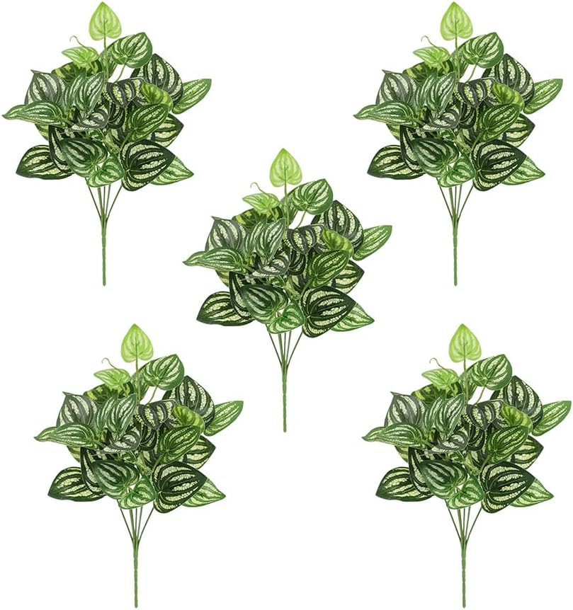 5Pcs 수박 Peperomia 인공 식물 12.9 
